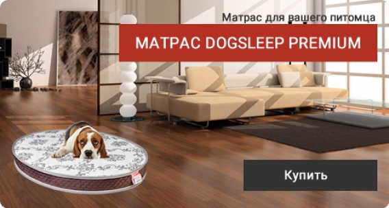 Первое спецпредложение